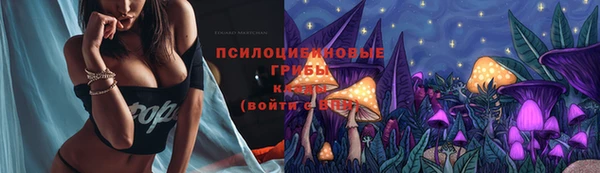 гашик Нея