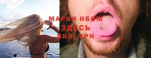 гашик Нея