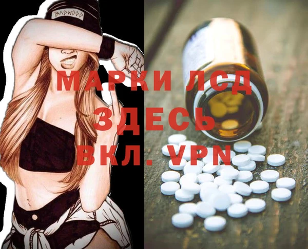 гашик Нея