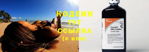 гашик Нея