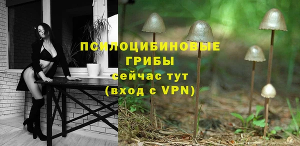 гашик Нея